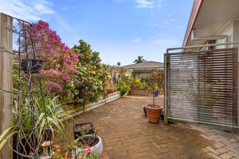Photo of property in 86a Mcalister Street, Whakatane, 3120