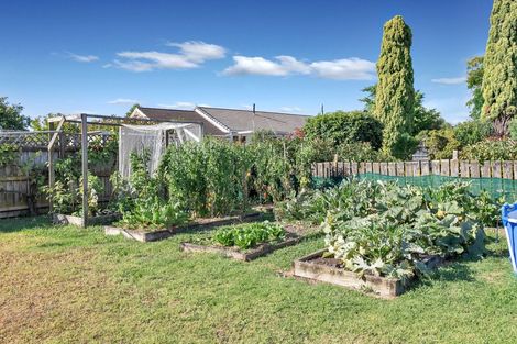 Photo of property in 201 Corks Road, Tikipunga, Whangarei, 0112