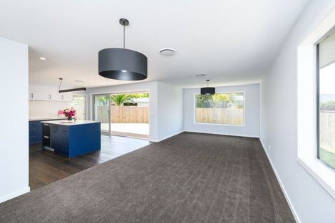 Photo of property in 163a Denbigh Street, Feilding, 4702