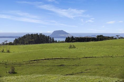 Photo of property in 596a Minden Road, Minden, Tauranga, 3176