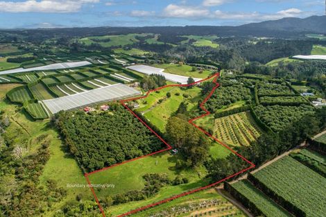 Photo of property in 285a Wainui South Road, Whakamarama, Katikati, 3181