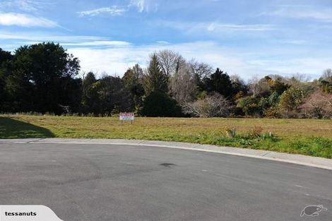 Photo of property in 24 Erlam Place, Matipo Heights, Rotorua, 3015