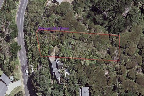 Photo of property in 52 Seaview Road, Piha, 0772