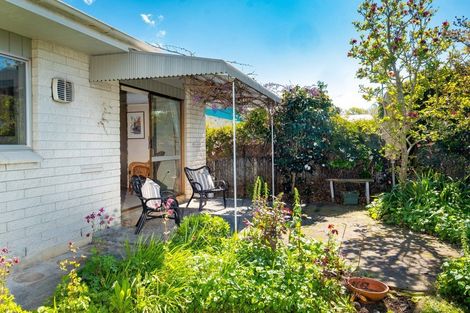 Photo of property in 800a Queen Street East, Parkvale, Hastings, 4122