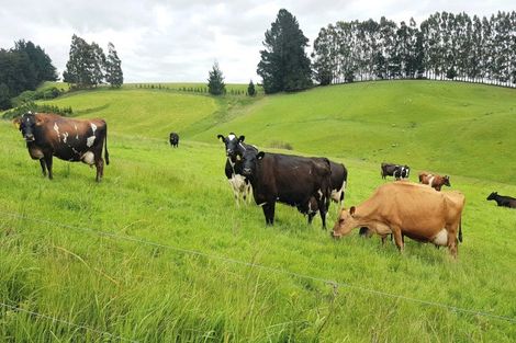 Photo of property in 31 Windy Ridge Road, Benhar, Balclutha, 9272