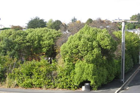 Photo of property in 19 Coleridge Street, Kaikorai, Dunedin, 9010
