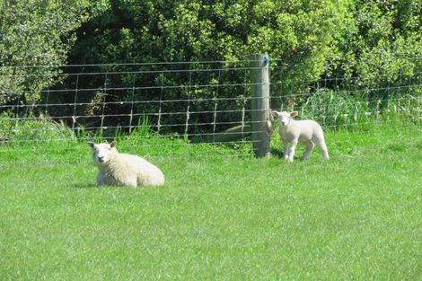 Photo of property in 200 Edendale-wyndham Road, Menzies Ferry, Wyndham, 9893