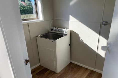 Photo of property in 41 Winstone Avenue, Chartwell, Hamilton, 3210