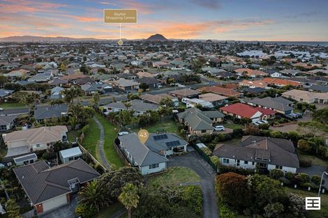 Photo of property in 43 Jasmine Place, Mount Maunganui, 3116