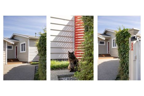 Photo of property in 23a Maitland Street, Greerton, Tauranga, 3112