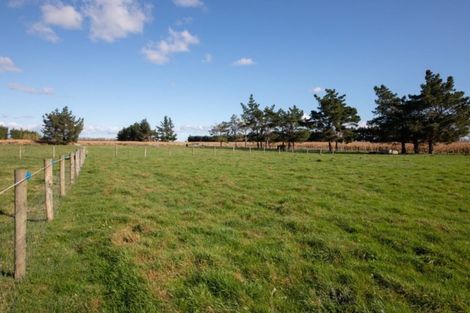 Photo of property in 898 Rongotea Road, Rongotea, Palmerston North, 4476