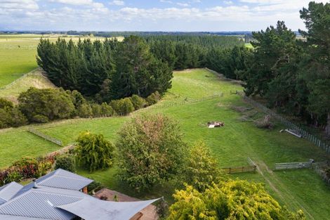 Photo of property in 285 Forlong Road, Colyton, Feilding, 4775