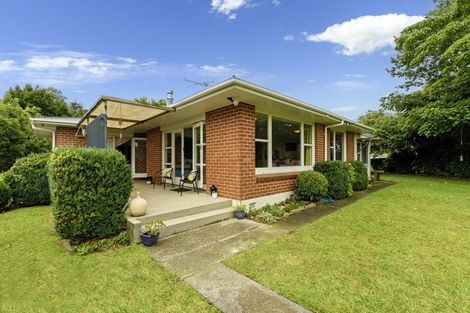 Photo of property in 474 Fraser Street, Parkvale, Tauranga, 3112