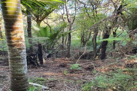 Photo of property in 140 Waiheke Road, Waiheke Island, 1971