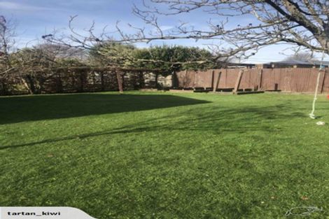 Photo of property in 22 Richards Avenue, Papanui, Christchurch, 8053