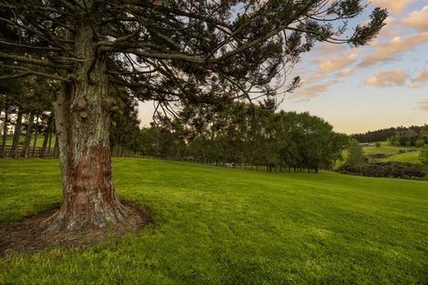 Photo of property in 713 Ararimu Valley Road, Helensville, 0882