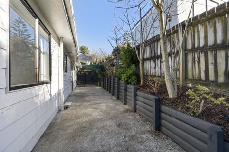 Photo of property in 13a Ridout Street, Maeroa, Hamilton, 3200