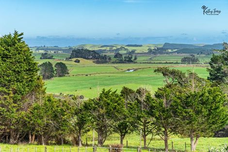 Photo of property in 171 Opanake Road, Parore, Dargaville, 0372