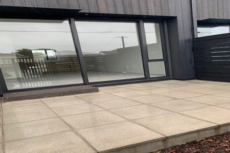 Photo of property in 14c Tory Street, Petone, Lower Hutt, 5012