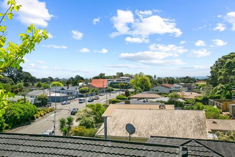 Photo of property in 117 Mangorei Road, Merrilands, New Plymouth, 4312