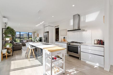 Photo of property in 14 Wyrall Way, Chartwell, Hamilton, 3210