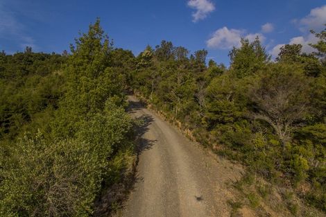 Photo of property in 595 Rangihau Road, Coroglen, Whitianga, 3591