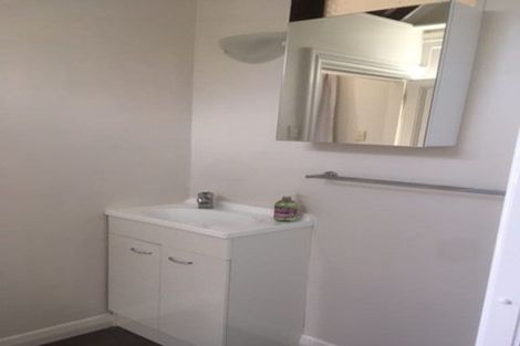 Photo of property in 74 Rolleston Street, Mount Cook, Wellington, 6021