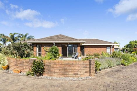 Photo of property in 11a Jasmine Place, Mount Maunganui, 3116