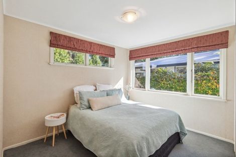 Photo of property in 66 Macarthur Street, Levin, 5510