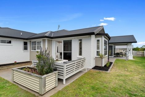 Photo of property in 24 Mervyn Place, Ohauiti, Tauranga, 3112
