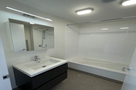 Photo of property in Aniva Terrace, 21 Arney Street, Newtown, Wellington, 6021