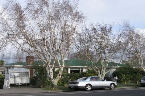 Photo of property in 454 College Street, Hokowhitu, Palmerston North, 4410