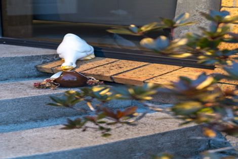 Photo of property in 20 Muscat Place, Henderson, Auckland, 0612