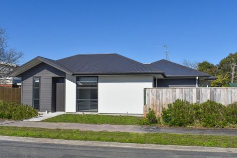 Photo of property in 1/4 Saint Pauls Road, Chartwell, Hamilton, 3210