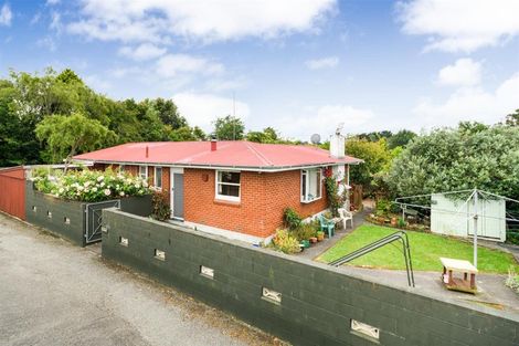 Photo of property in 46a Skerman Street, Marton, 4710