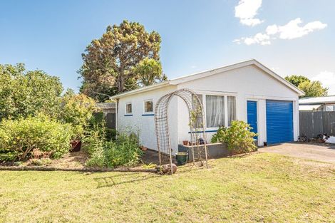 Photo of property in 118 Puriri Street, Gonville, Whanganui, 4501