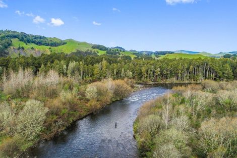 Photo of property in 205 Te Rena Road, Kakahi, 3989