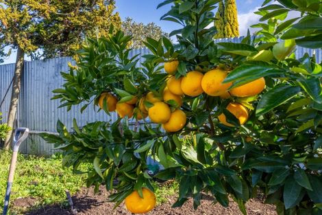 Photo of property in 15 Mitchell Street, Waipukurau, 4200