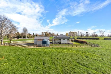 Photo of property in 446 Maiseys Road, Waharoa, Matamata, 3471