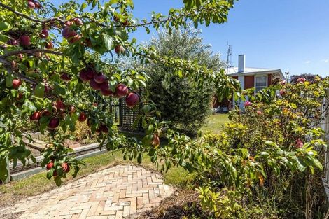 Photo of property in 2/280 Scott Street, Witherlea, Blenheim, 7201