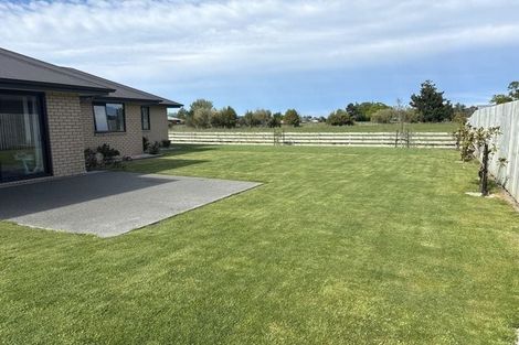Photo of property in 13 Roxburgh Place, Tinwald, Ashburton, 7700