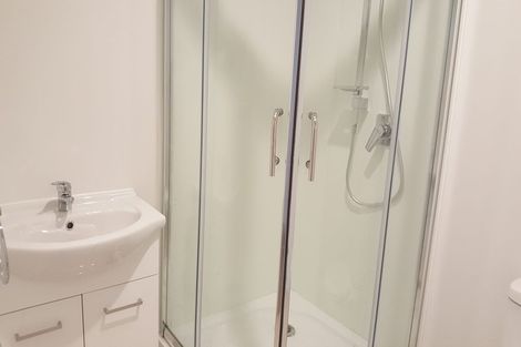 Photo of property in 41a Lake Domain Drive, Frankton, Hamilton, 3204