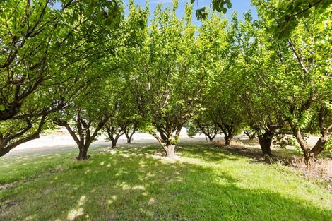 Photo of property in 617 Dunstan Road, Alexandra, 9391