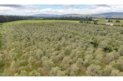 Photo of property in 164 Mackenzies Road, Waipara, Amberley, 7483