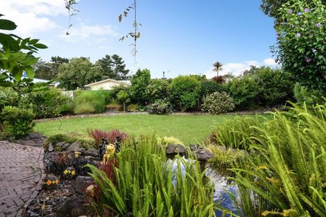 Photo of property in 42 Fitzroy Avenue, Fitzroy, Hamilton, 3206