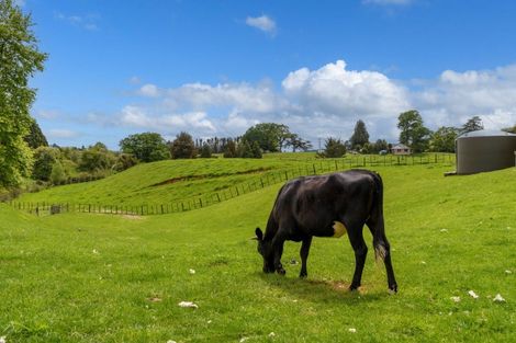 Photo of property in 1303 Oropi Road, Oropi, Tauranga, 3173