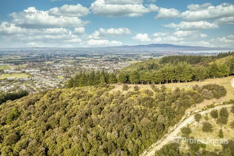 Photo of property in 91 Boar Bush Gully Road, Featherston, 5710