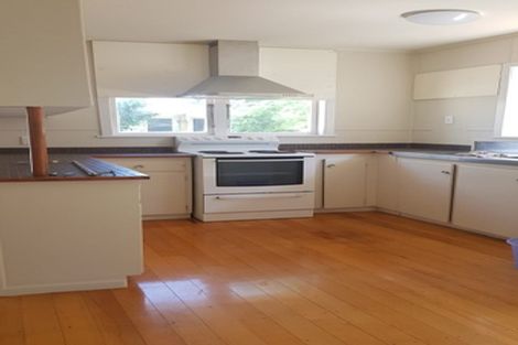 Photo of property in 28 Camellia Place, Mount Roskill, Auckland, 1041