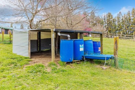 Photo of property in 423 Waikeria Road, Kihikihi, Te Awamutu, 3874