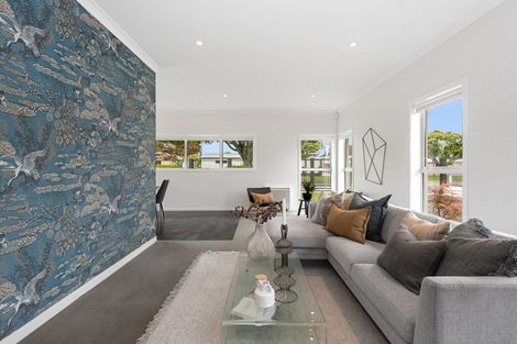 Photo of property in 19 Strowan Avenue, Fairfield, Hamilton, 3214